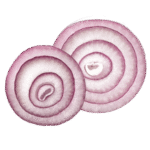 onion.png